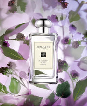 JO MALONE BLACKBERRY & BAY COLOGNE 3.4 OZ EDC WOMEN